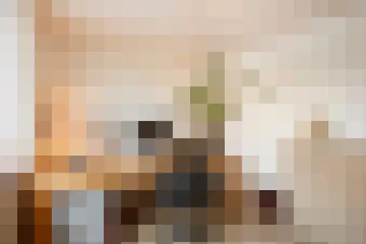 Piet Heinstraat 19 De Meern thumbnail 23