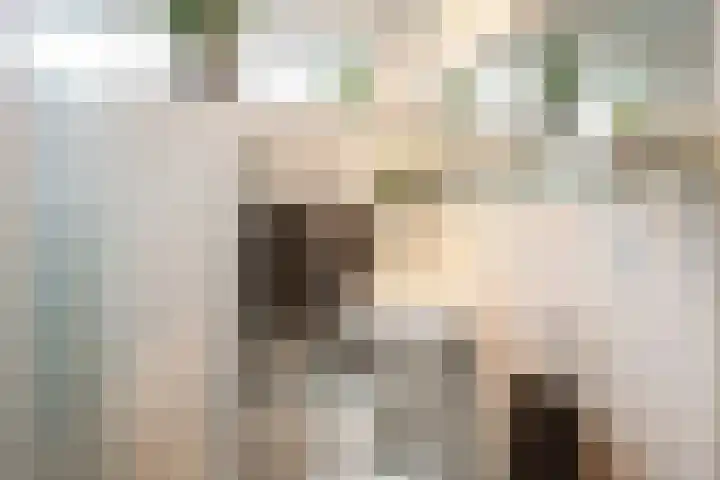 Piet Heinstraat 19 De Meern thumbnail 24