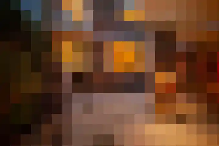 Piet Heinstraat 19 De Meern thumbnail 41