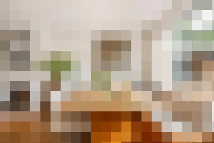 Piet Heinstraat 19 De Meern thumbnail 5