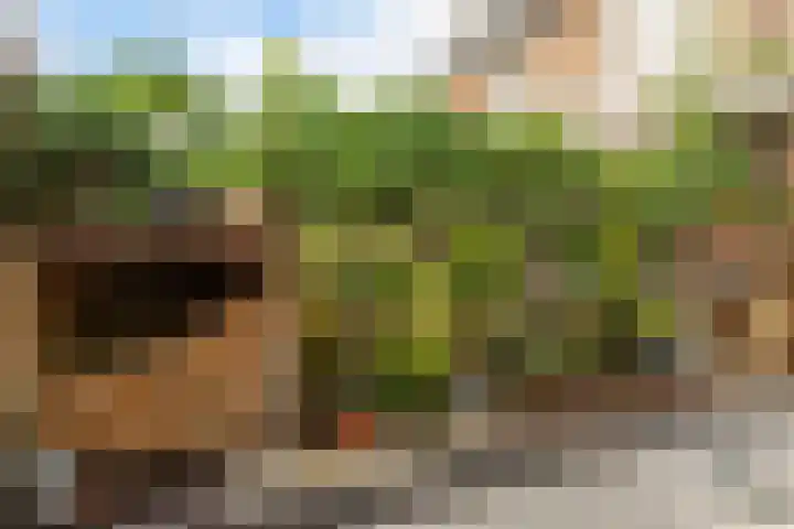 Piet Heinstraat 19 De Meern thumbnail 9