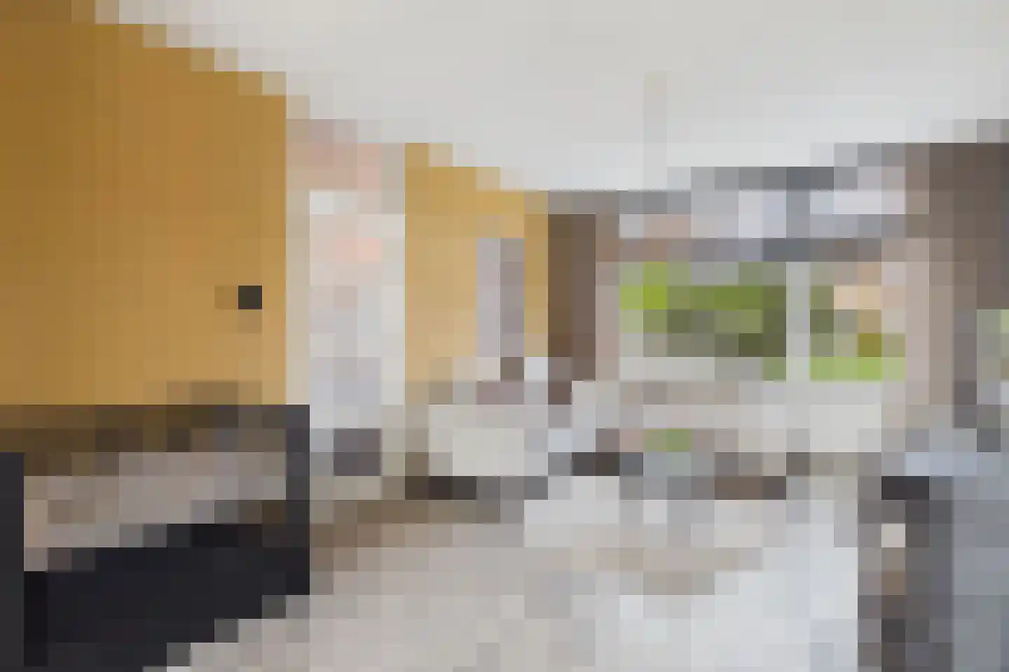 Piet Heinstraat 19 Kloosterzande thumbnail 11