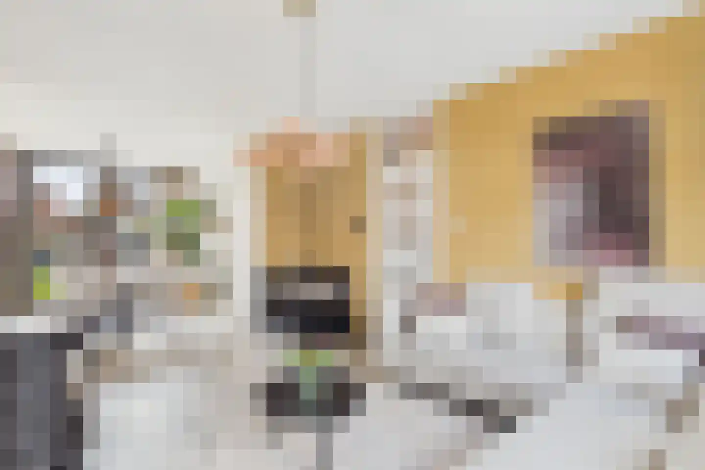 Piet Heinstraat 19 Kloosterzande thumbnail 12