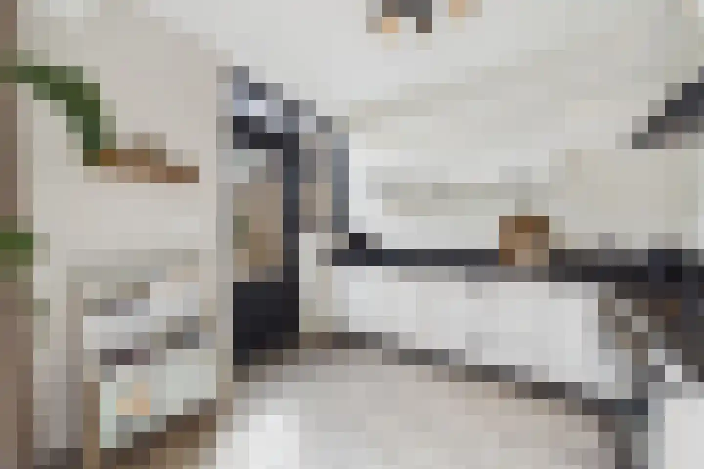 Piet Heinstraat 19 Kloosterzande thumbnail 18