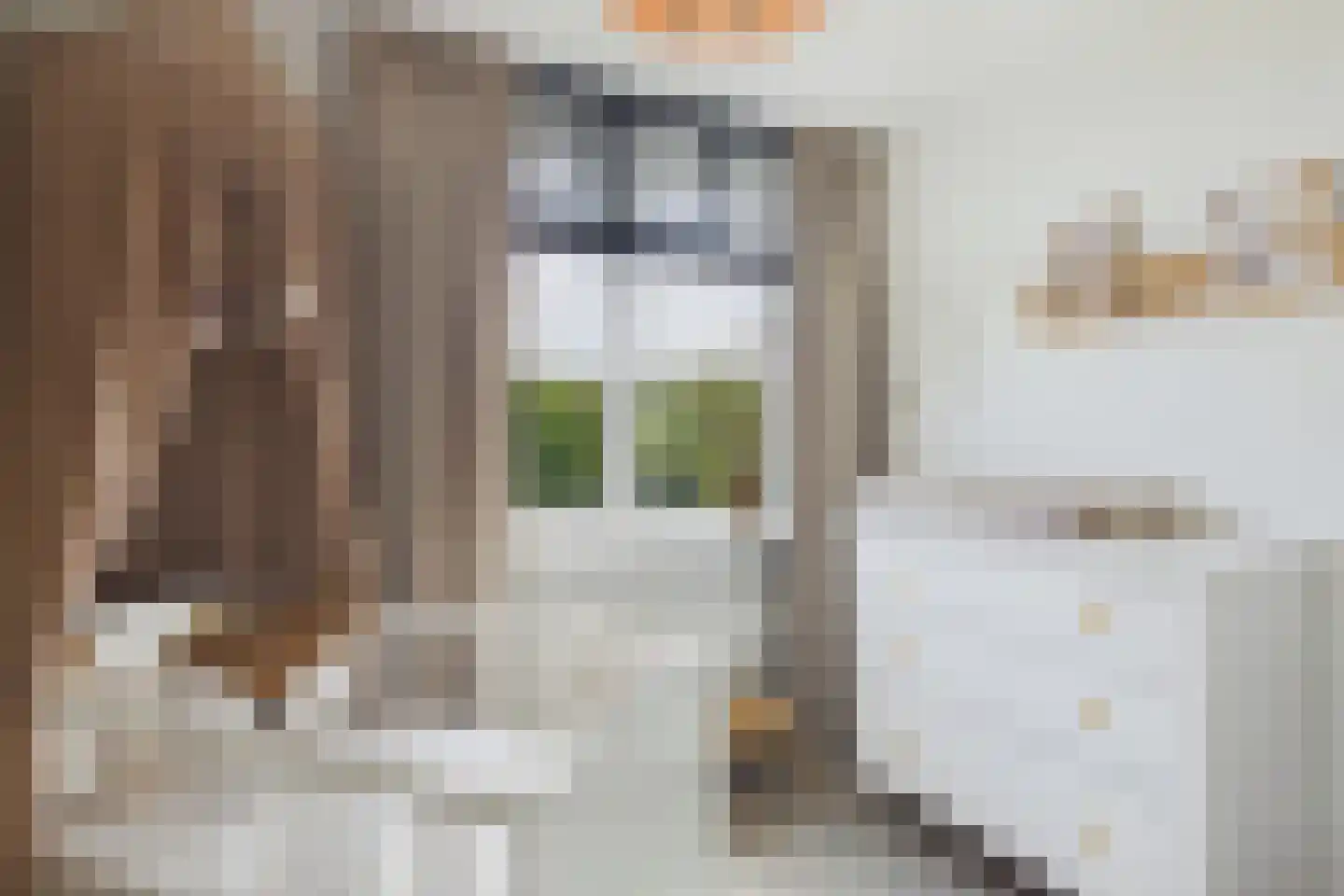 Piet Heinstraat 19 Kloosterzande thumbnail 20