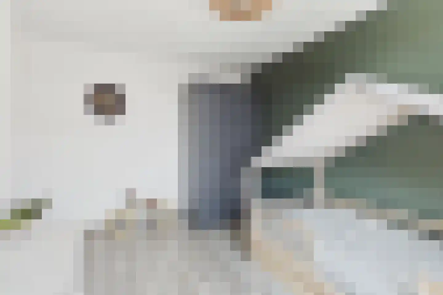 Piet Heinstraat 19 Kloosterzande thumbnail 23