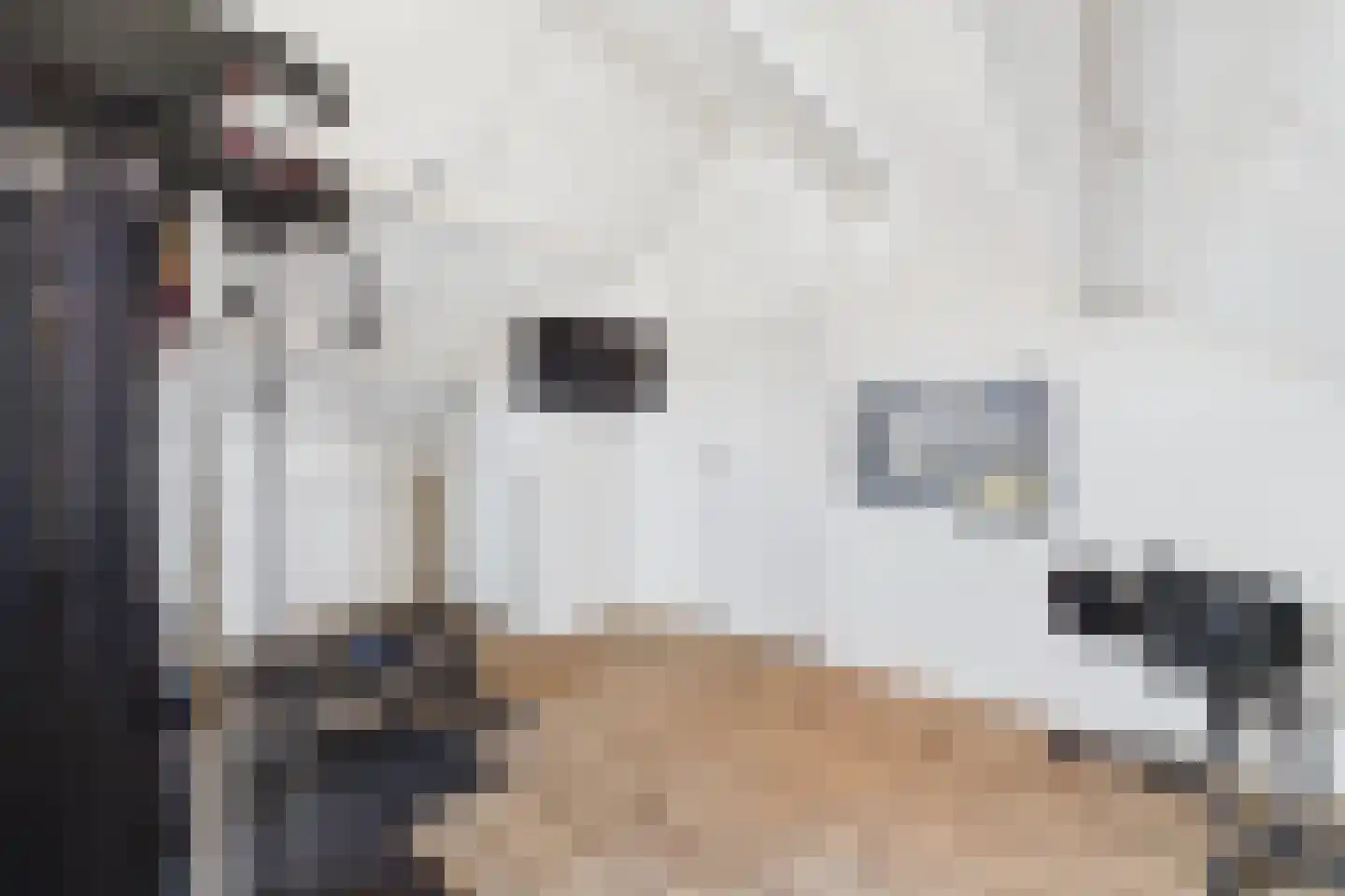 Piet Heinstraat 19 Kloosterzande thumbnail 30