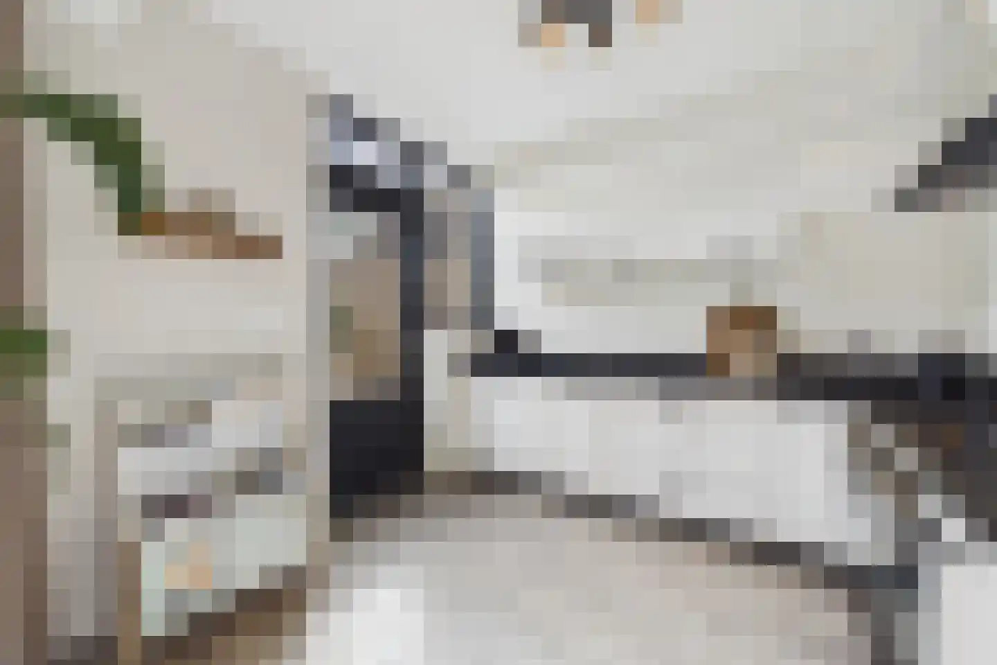 Piet Heinstraat 19 Kloosterzande thumbnail 4