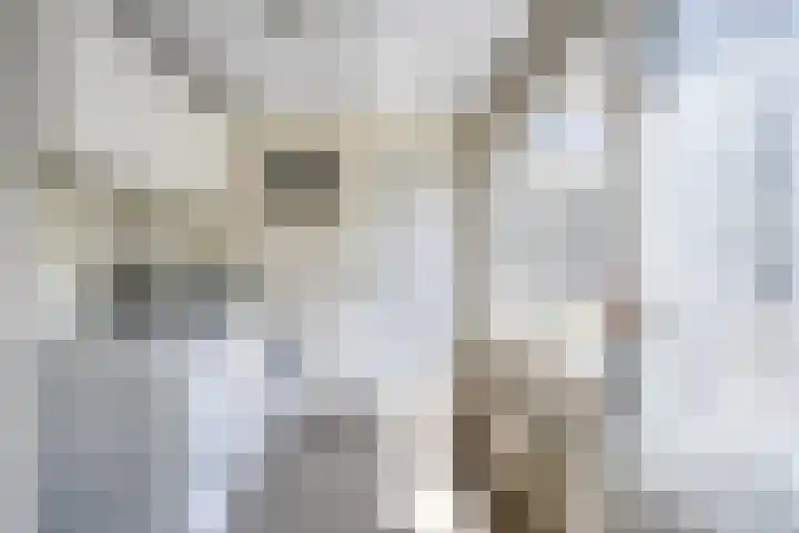 Piet Heinstraat 2 Boxmeer thumbnail 15