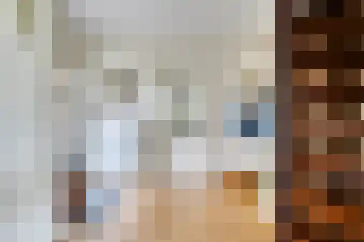 Piet Heinstraat 2 Boxmeer thumbnail 18