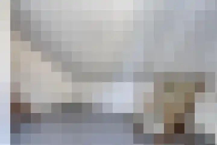 Piet Heinstraat 2 Boxmeer thumbnail 26