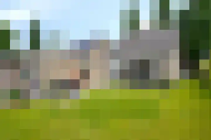 Piet Heinstraat 2 Boxmeer thumbnail 34