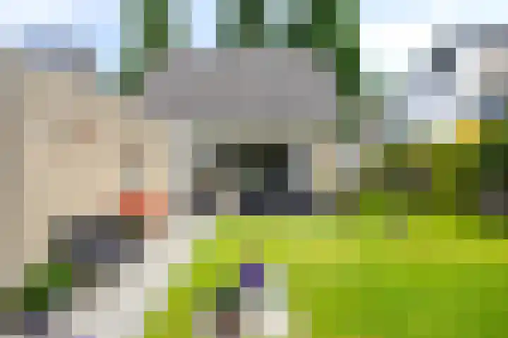 Piet Heinstraat 2 Boxmeer thumbnail 35