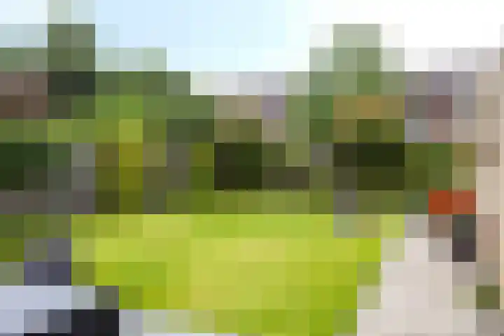 Piet Heinstraat 2 Boxmeer thumbnail 36