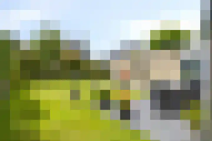 Piet Heinstraat 2 Boxmeer thumbnail 37