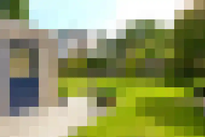 Piet Heinstraat 2 Boxmeer thumbnail 40