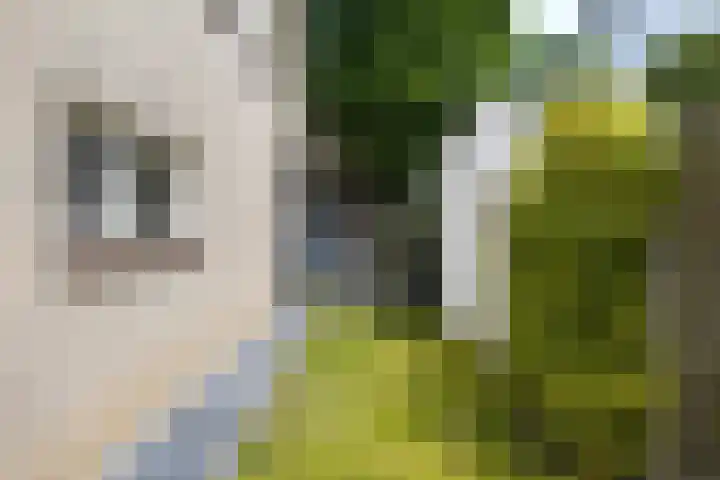 Piet Heinstraat 2 Boxmeer thumbnail 41