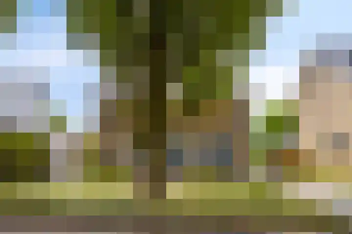 Piet Heinstraat 2 Boxmeer thumbnail 43