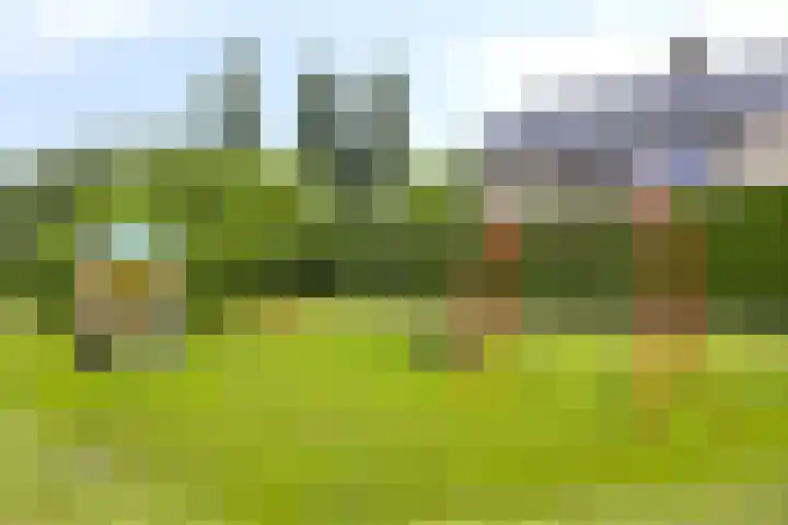 Piet Heinstraat 2 Boxmeer thumbnail 45