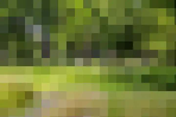 Piet Heinstraat 2 Boxmeer thumbnail 46