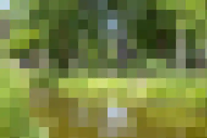 Piet Heinstraat 2 Boxmeer thumbnail 47