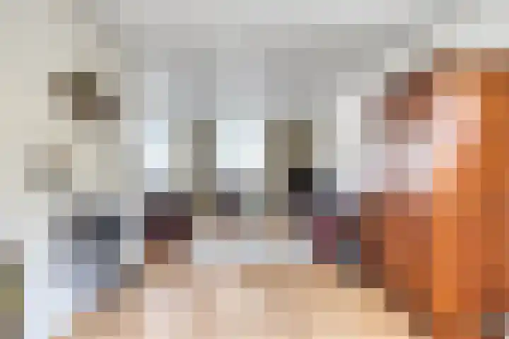 Piet Heinstraat 2 Boxmeer thumbnail 8