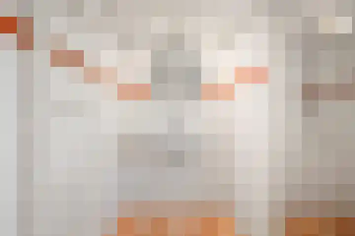 Piet Heinstraat 2 Den Helder thumbnail 25