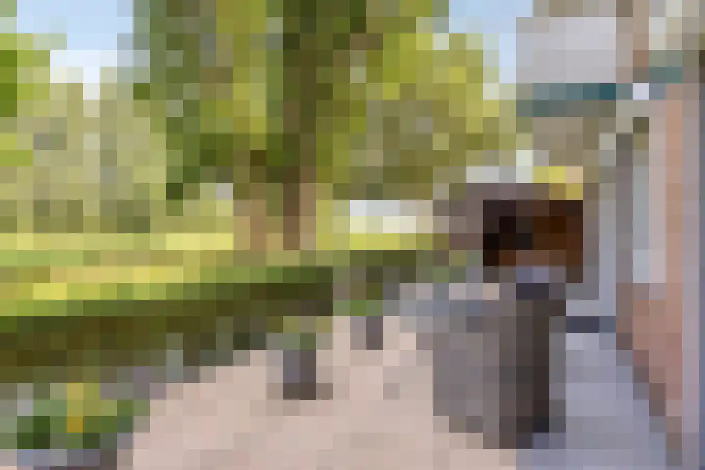 Piet Heinstraat 2 Maarssen thumbnail 25