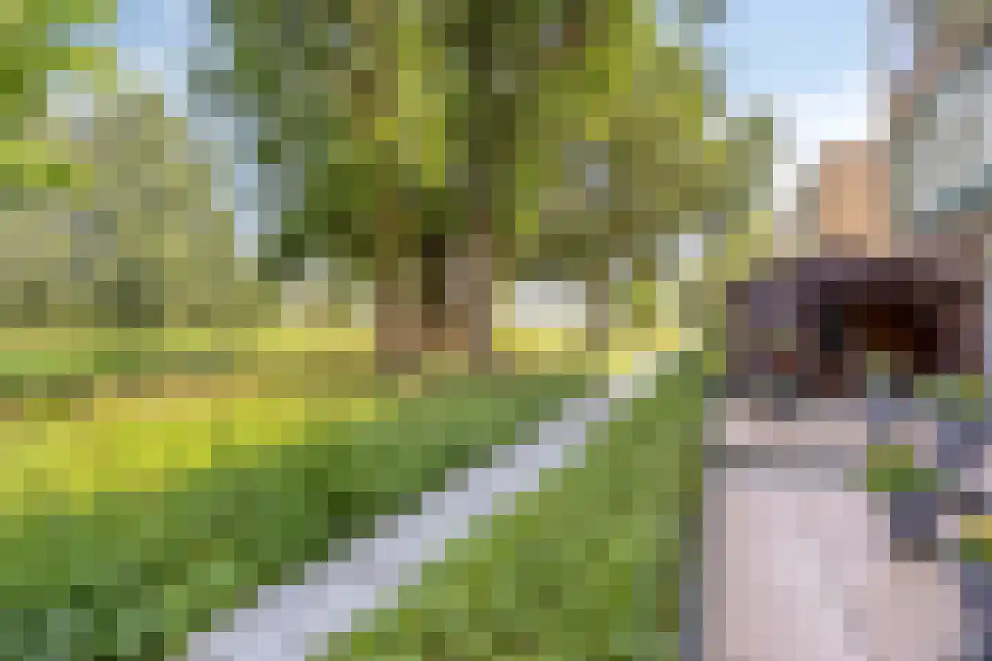 Piet Heinstraat 2 Maarssen thumbnail 26