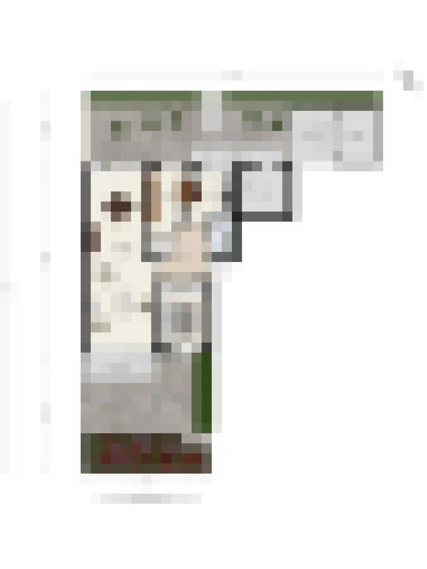 Piet Heinstraat 2 Maarssen thumbnail 38