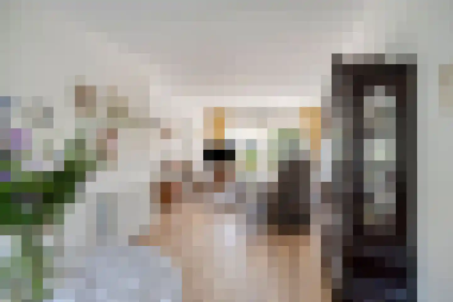 Piet Heinstraat 2 Maarssen thumbnail 9