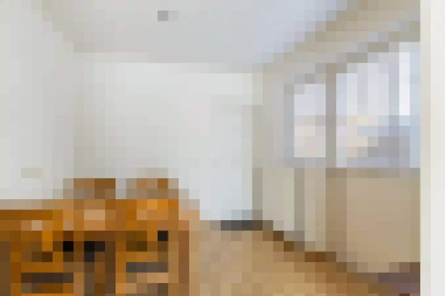Piet Heinstraat 2 Schijndel thumbnail 14