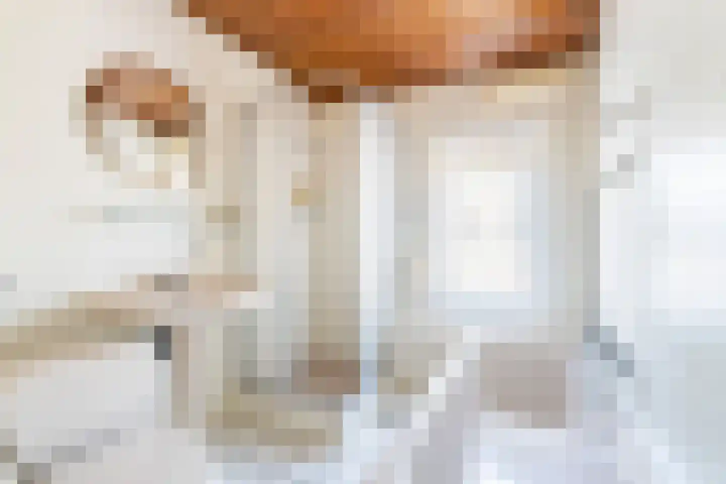 Piet Heinstraat 2 Schijndel thumbnail 26