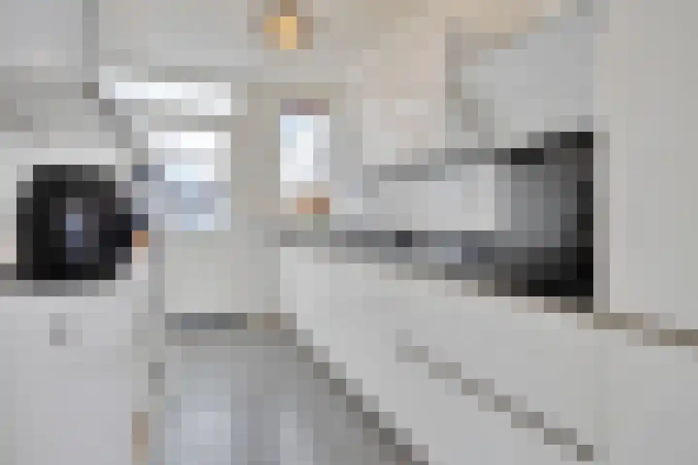 Piet Heinstraat 2 Zevenaar thumbnail 12