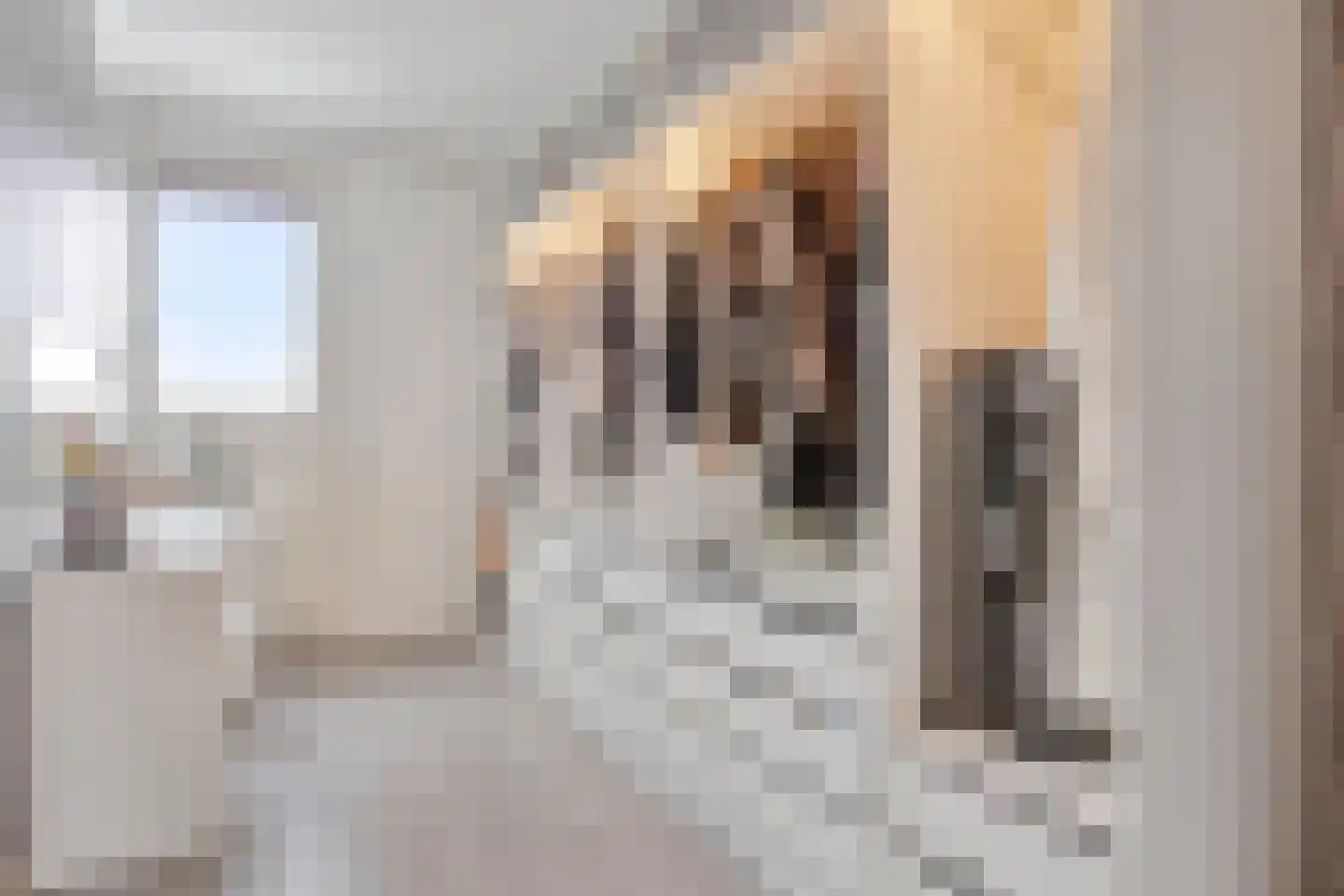 Piet Heinstraat 2 Zevenaar thumbnail 21