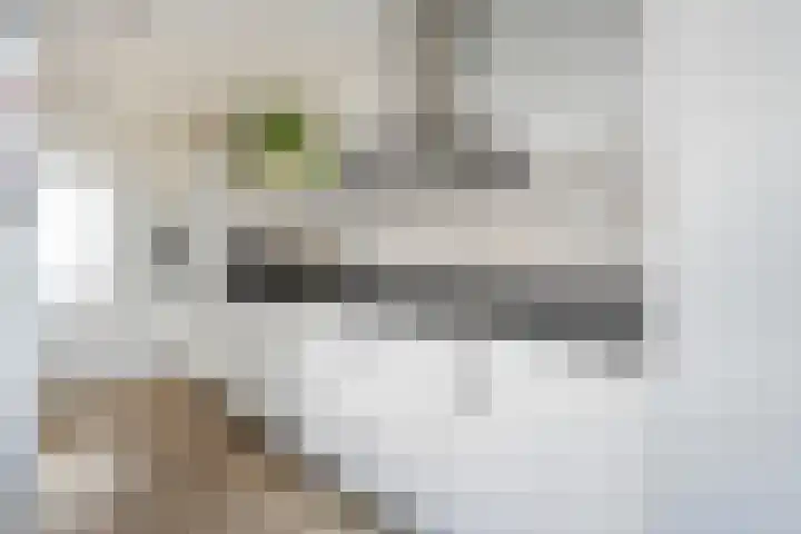 Piet Heinstraat 20 Meppel thumbnail 10