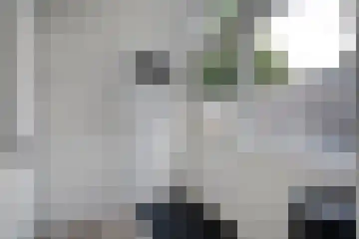 Piet Heinstraat 20 Meppel thumbnail 11