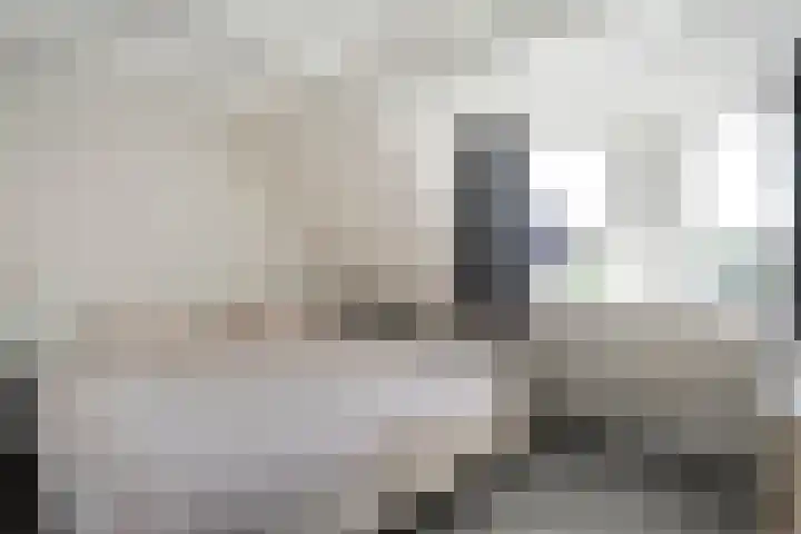 Piet Heinstraat 20 Meppel thumbnail 14