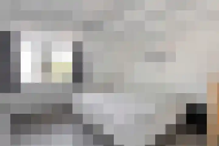Piet Heinstraat 20 Meppel thumbnail 16