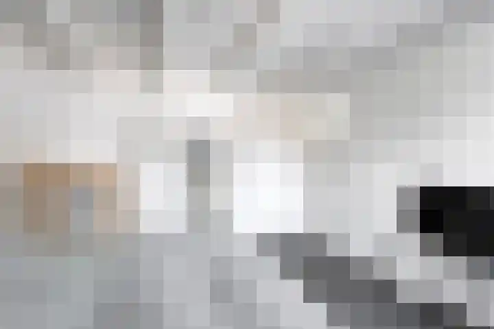 Piet Heinstraat 20 Meppel thumbnail 17