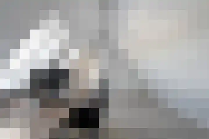 Piet Heinstraat 20 Meppel thumbnail 19