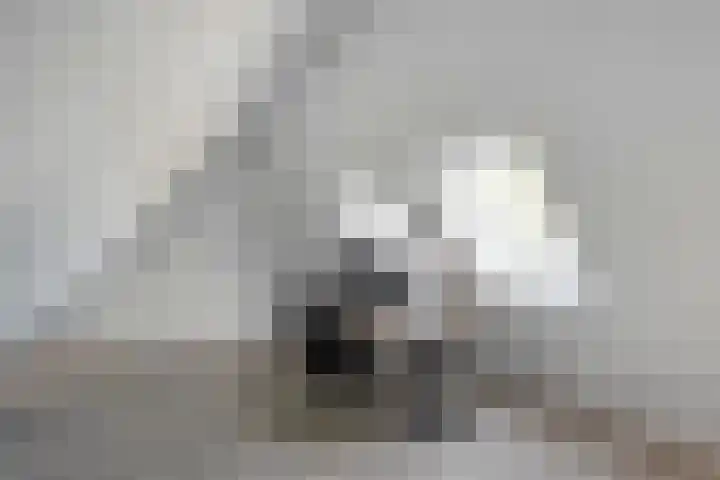 Piet Heinstraat 20 Meppel thumbnail 20