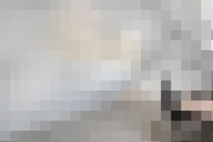 Piet Heinstraat 20 Meppel thumbnail 21