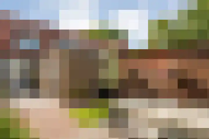 Piet Heinstraat 20 Meppel thumbnail 22
