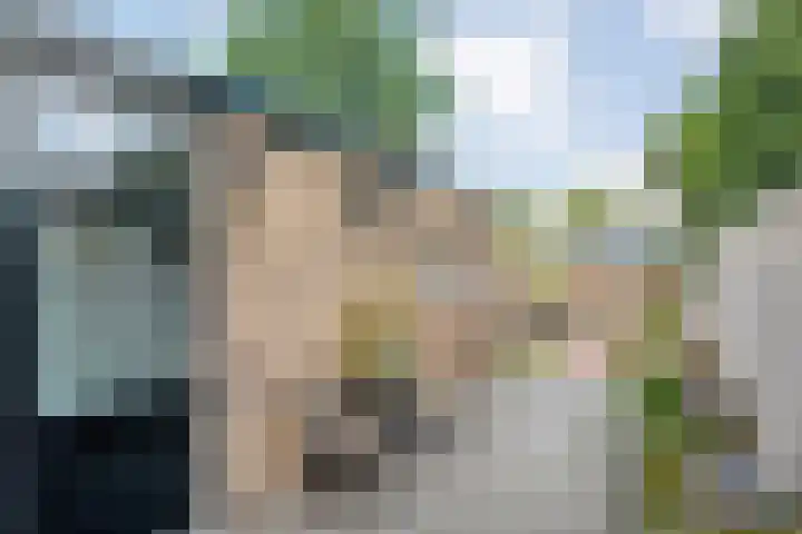 Piet Heinstraat 20 Meppel thumbnail 24