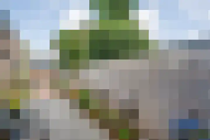 Piet Heinstraat 20 Meppel thumbnail 25