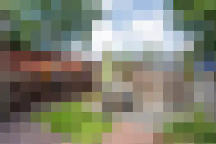 Piet Heinstraat 20 Meppel thumbnail 26