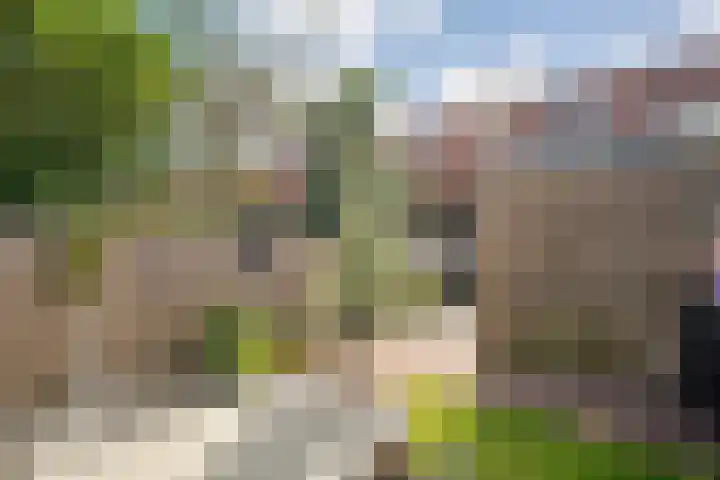 Piet Heinstraat 20 Meppel thumbnail 27