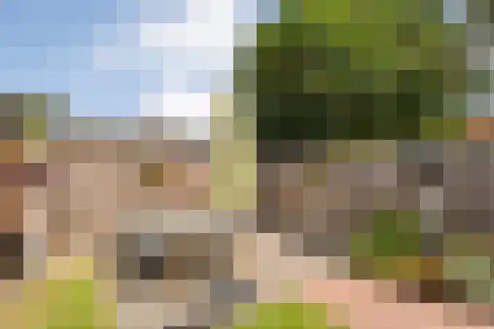 Piet Heinstraat 20 Meppel thumbnail 28