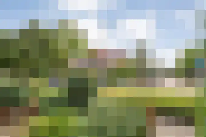 Piet Heinstraat 20 Meppel thumbnail 30
